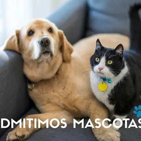 Universidad 3000 간디아